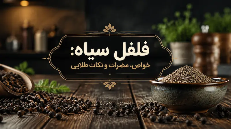 فلفل سیاه برای بدن مفید است یا مضر؟ بررسی خواص، مضرات و موارد احتیاط