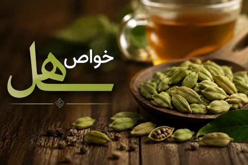 خواص هل؛ ۱۵ فایده شگفت‌انگیز برای مردان، زنان و لاغری + مضرات