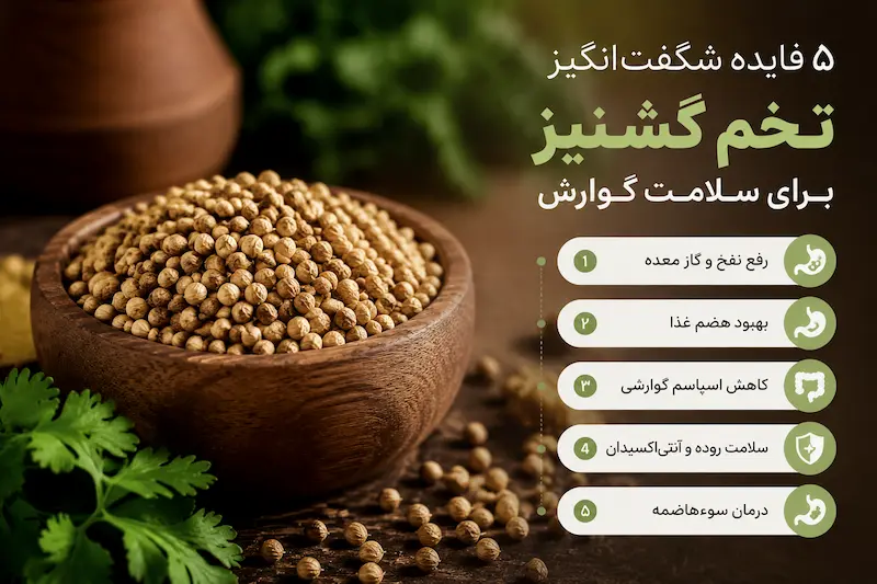مهم‌ترین خواص تخم گشنیز برای دستگاه گوارش