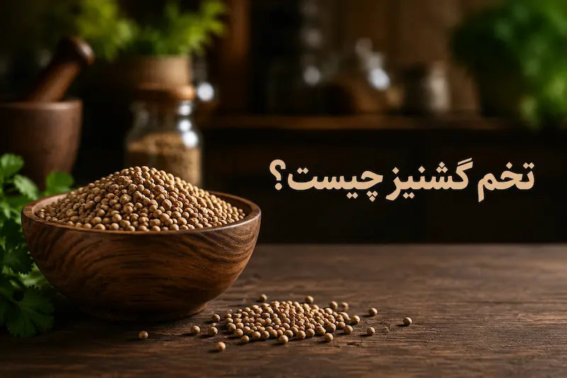 تخم گشنیز چیست؟