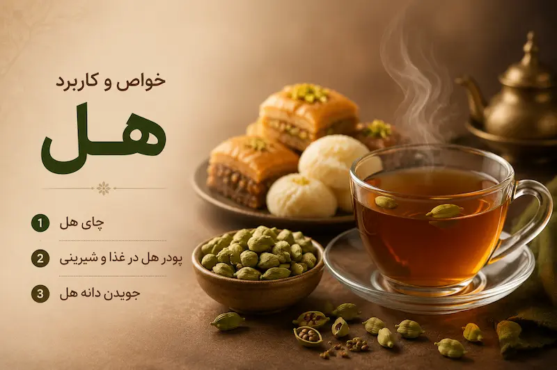 بهترین روش مصرف هل